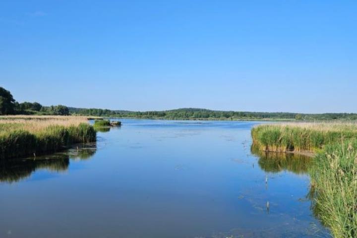 3 dagen Hotel Le Tulipier ***